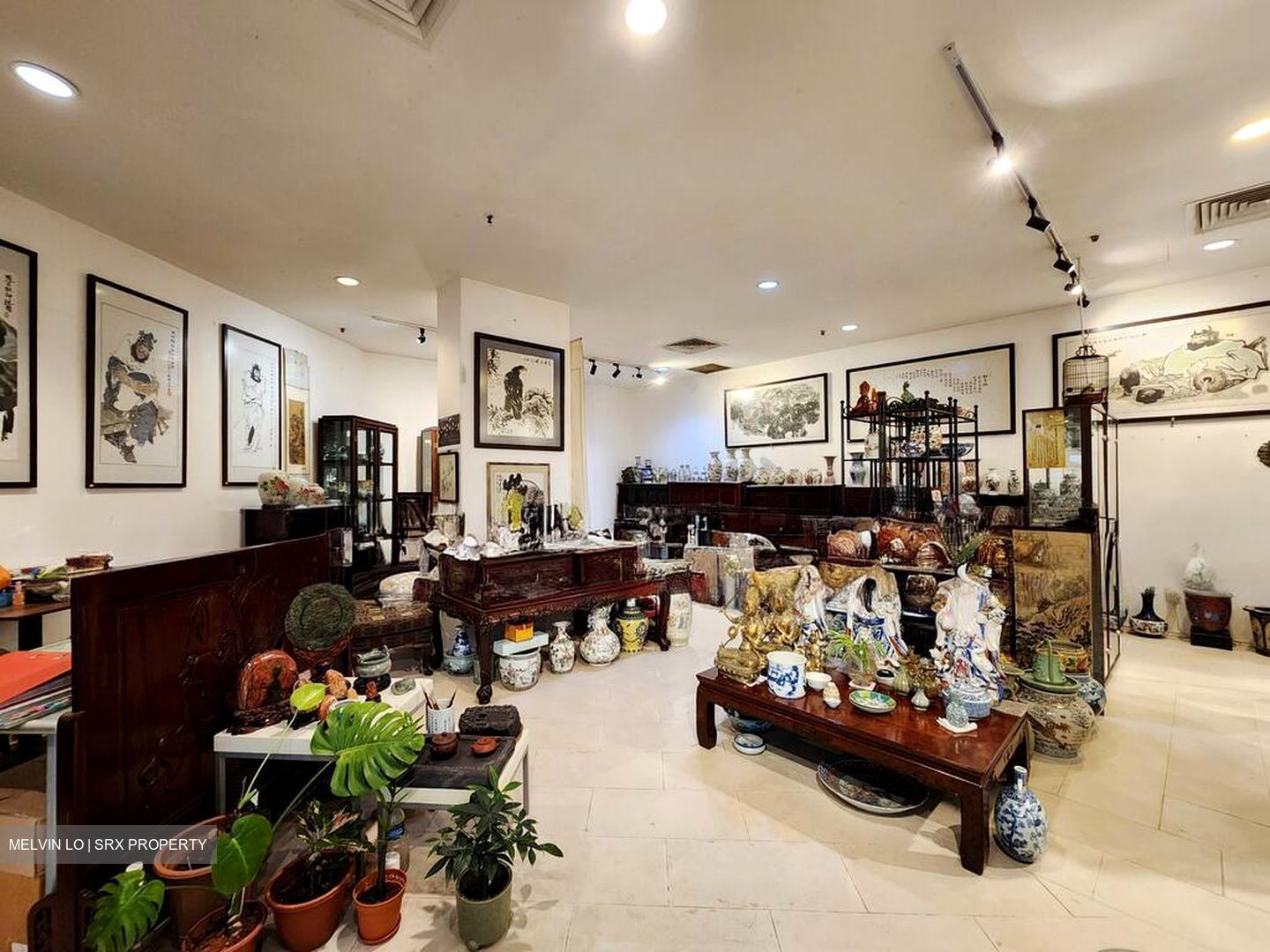 Balestier Point (D12), Shop House #520957101